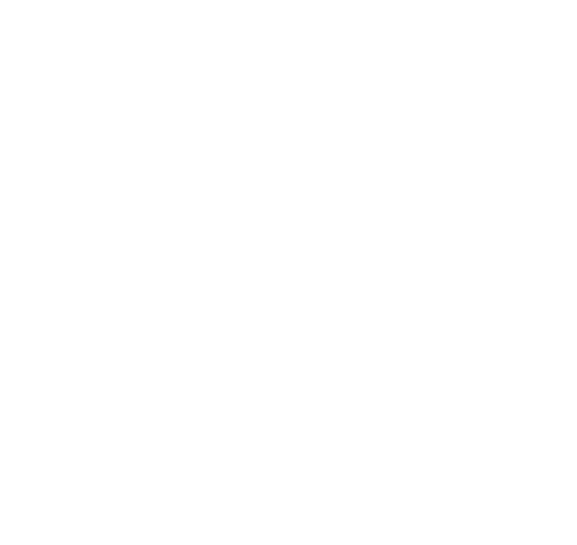 Black Pine Equities